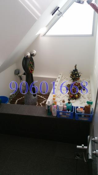 Serangoon Garden View (D19), Terrace #156916832